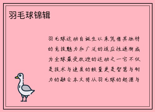 羽毛球锦辑